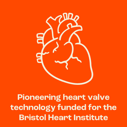 Pioneering heart valve technology at the BRI