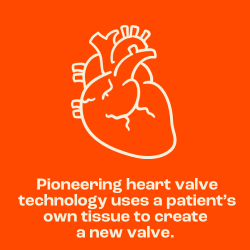 Pioneering heart valve technology