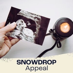Snowdrop Appeal